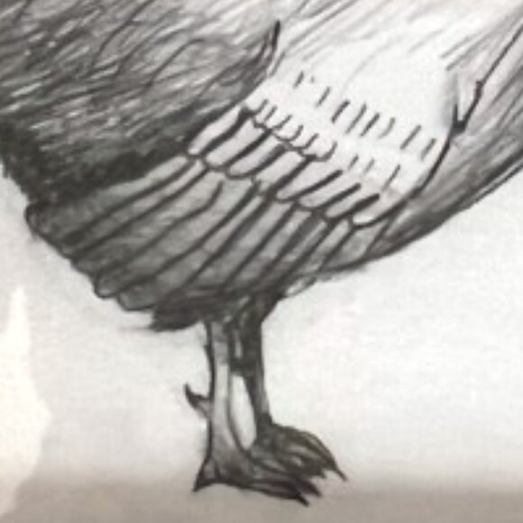 ROOSTER DRAWING White Ornate Cream Frame Signed Pencil Drawing 10.75" x  7.75" H - Picture 3 of 12